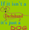 AGD 1876 If it isn't a Dachshund