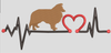AGD 11376 SHELTIE HEARTBEAT