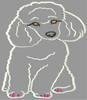 AGD 2706 Poodle
