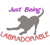 AGD 10174 Labradorable