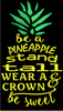 AGD 2786 Be a Pineapple