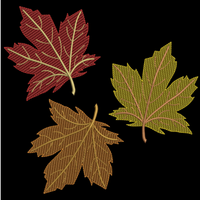 AGD 9142 Fall Leaves