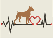 AGD 9492 Boxer Heartbeat