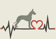 AGD 9514 Great Dane Heartbeat