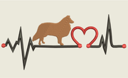 AGD 9516 Collie Heartbeat