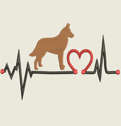 AGD 9598 Belgian Malinois Heartbeat